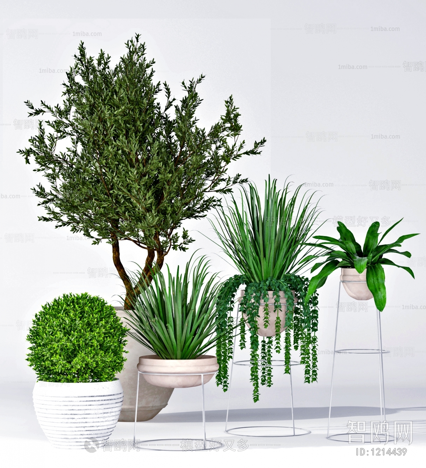 Modern Potted Green Plant