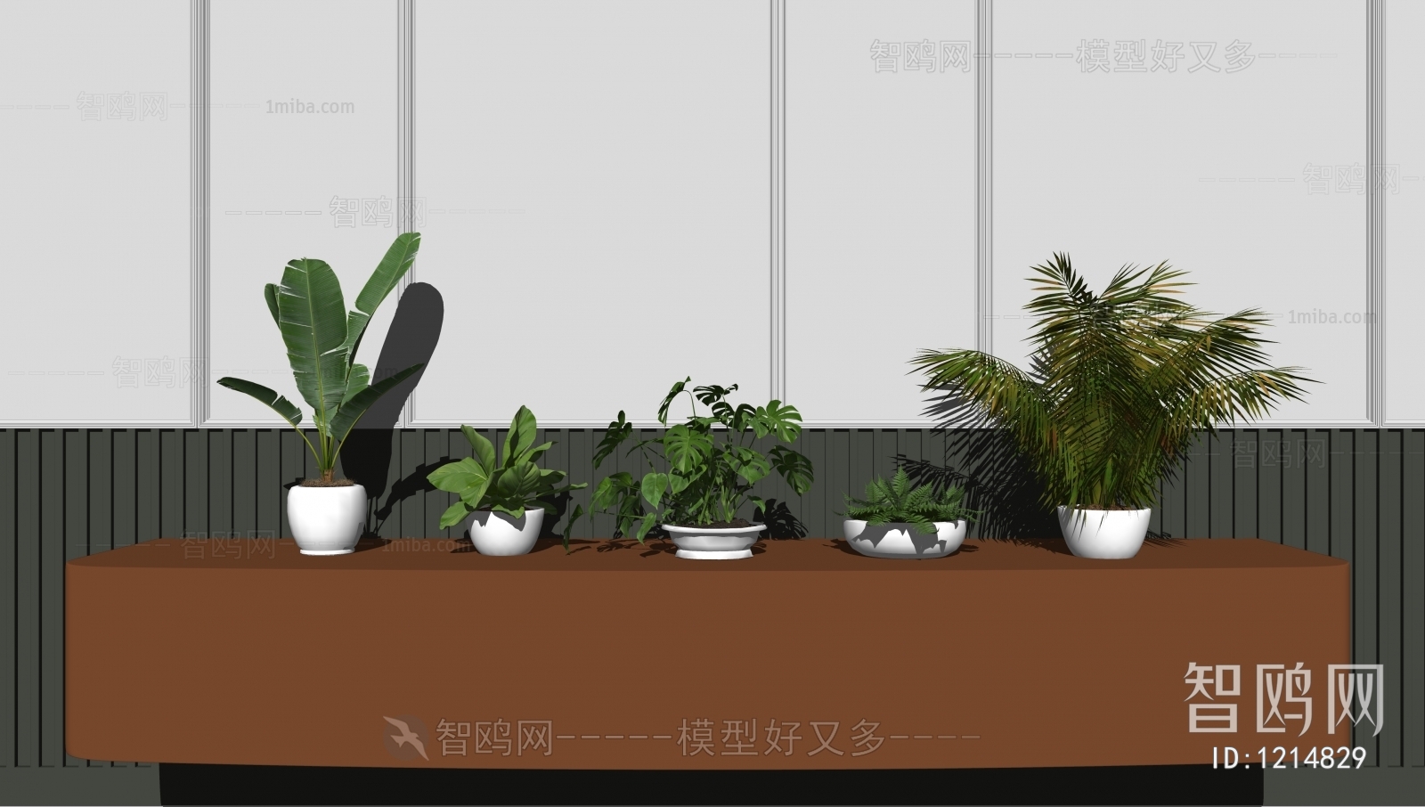 现代绿植盆栽