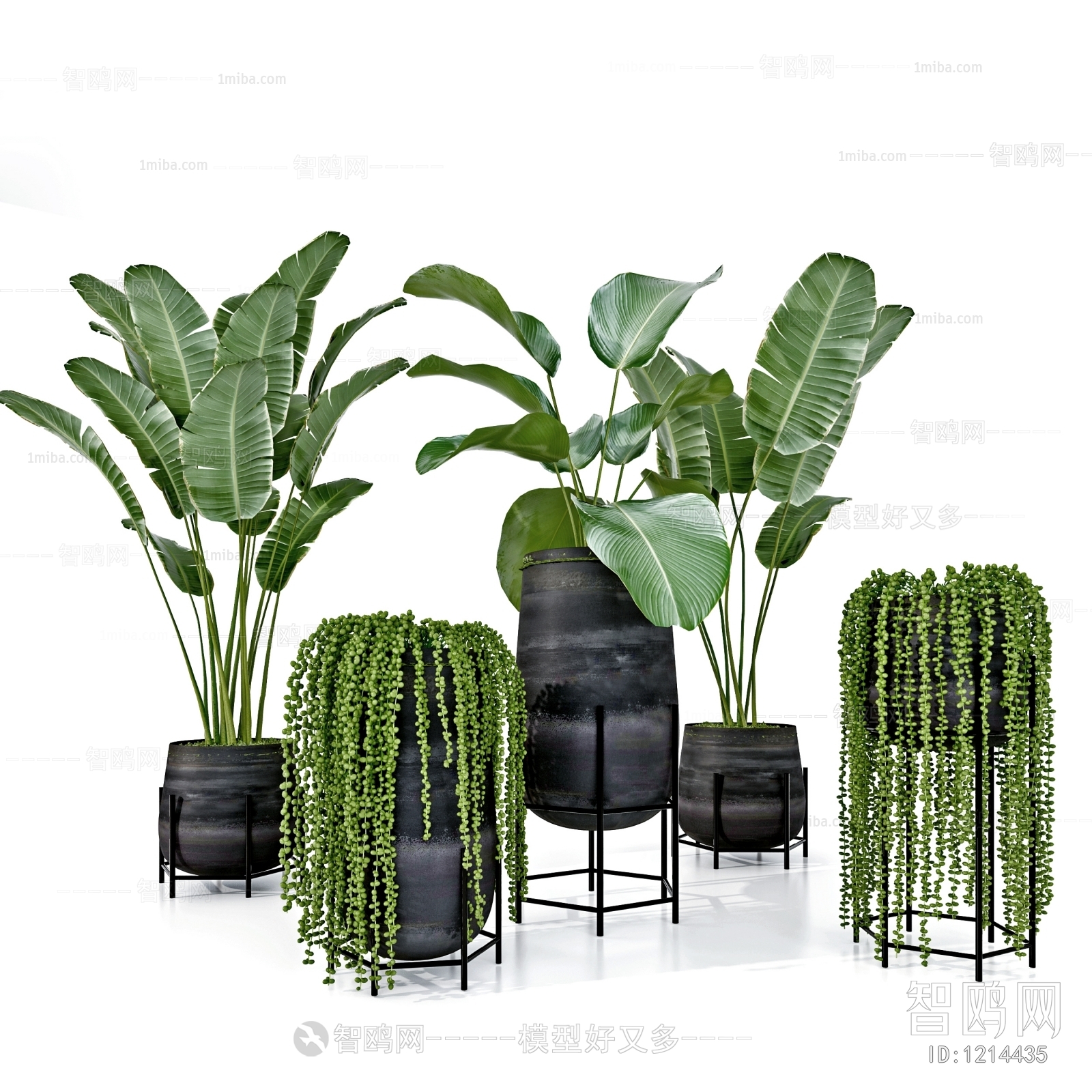 Modern Potted Green Plant