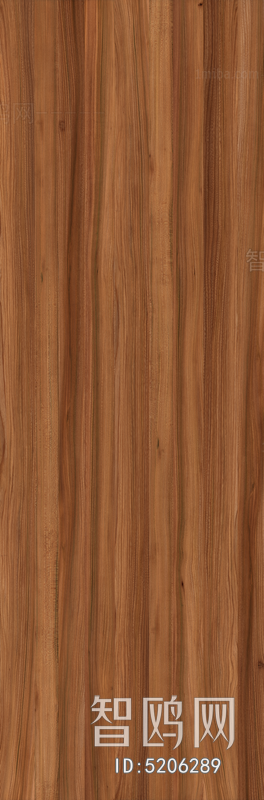 Wood Texture