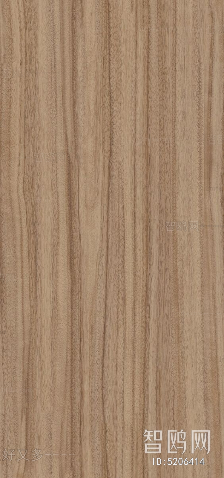 Wood Texture