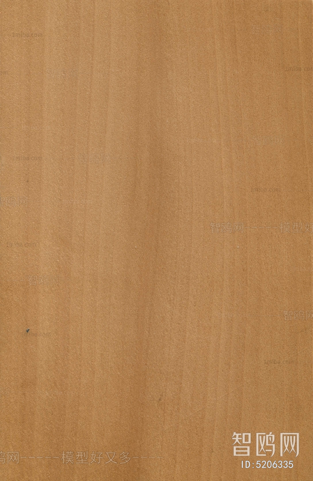 Wood Texture