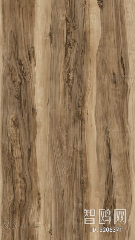 Wood Texture