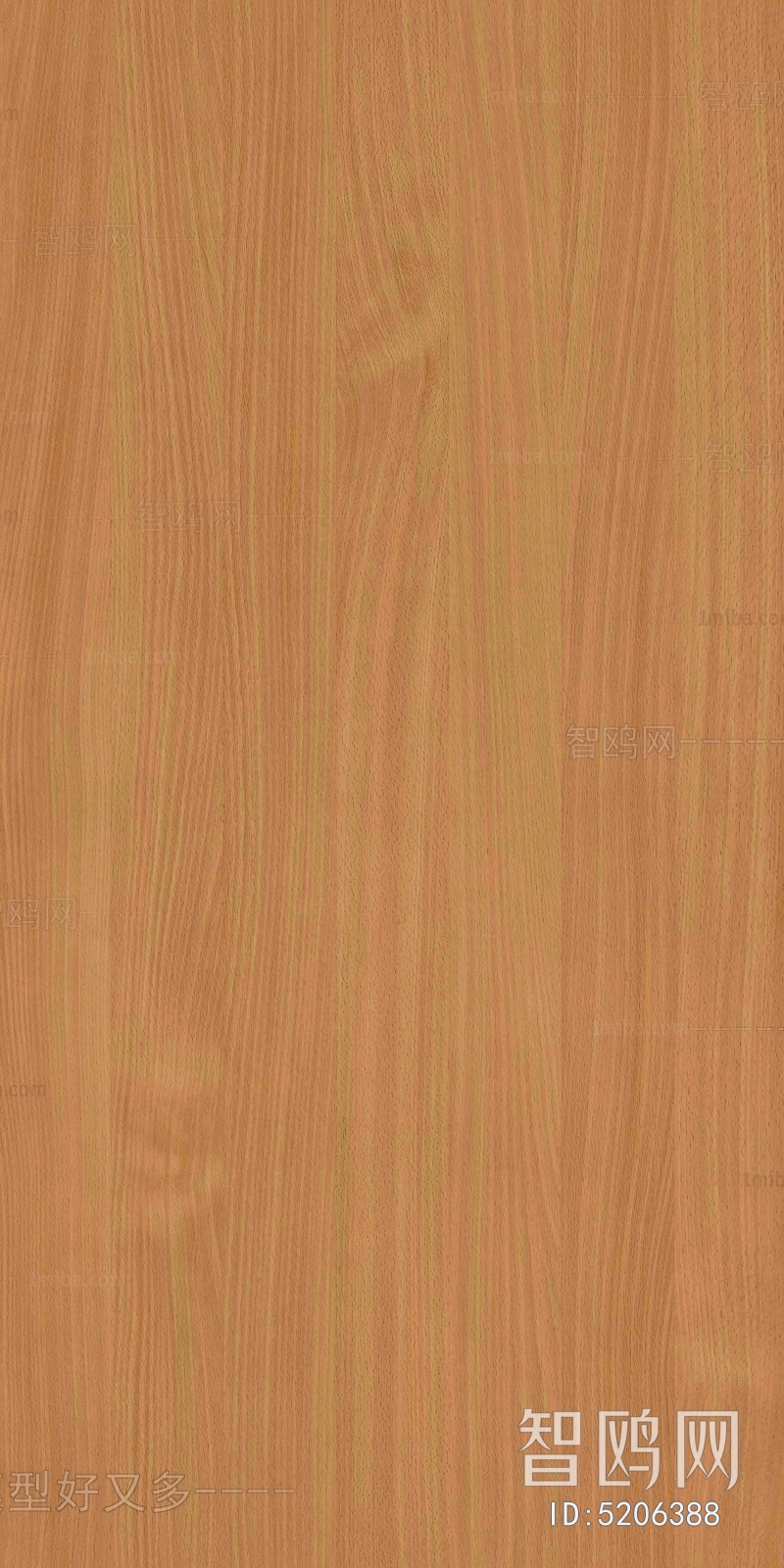 Wood Texture