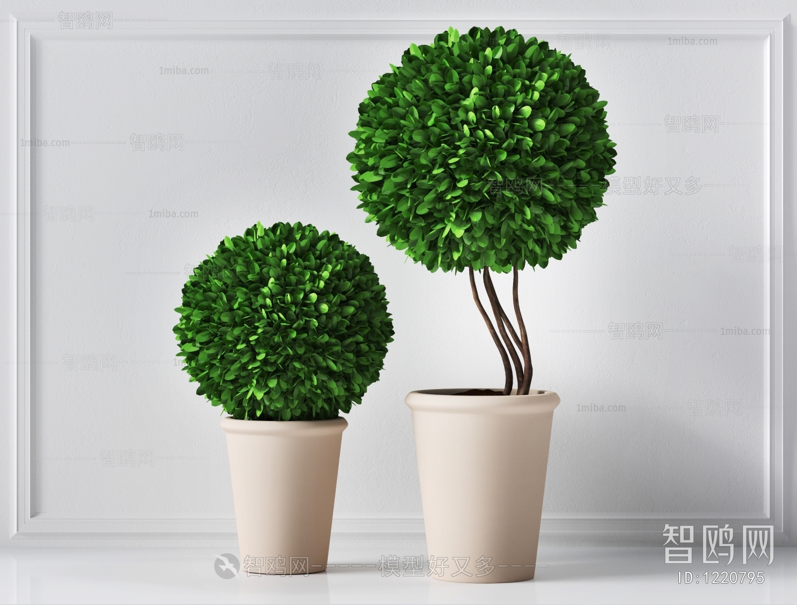 Modern Potted Green Plant