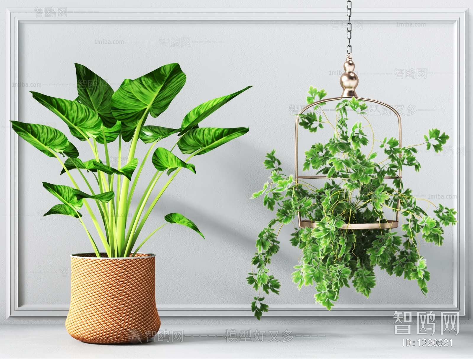 Modern Potted Green Plant