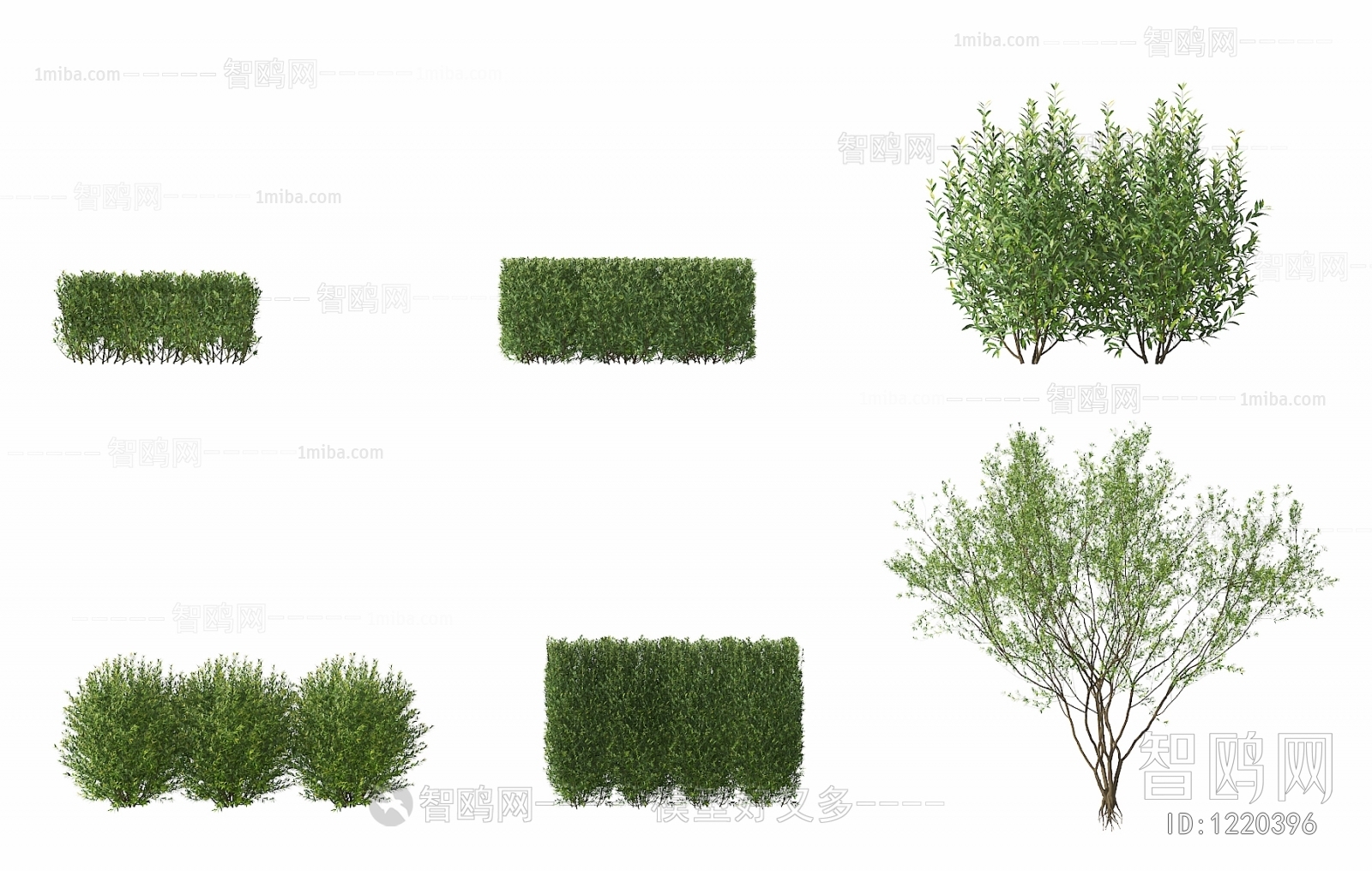 Modern Shrubbery