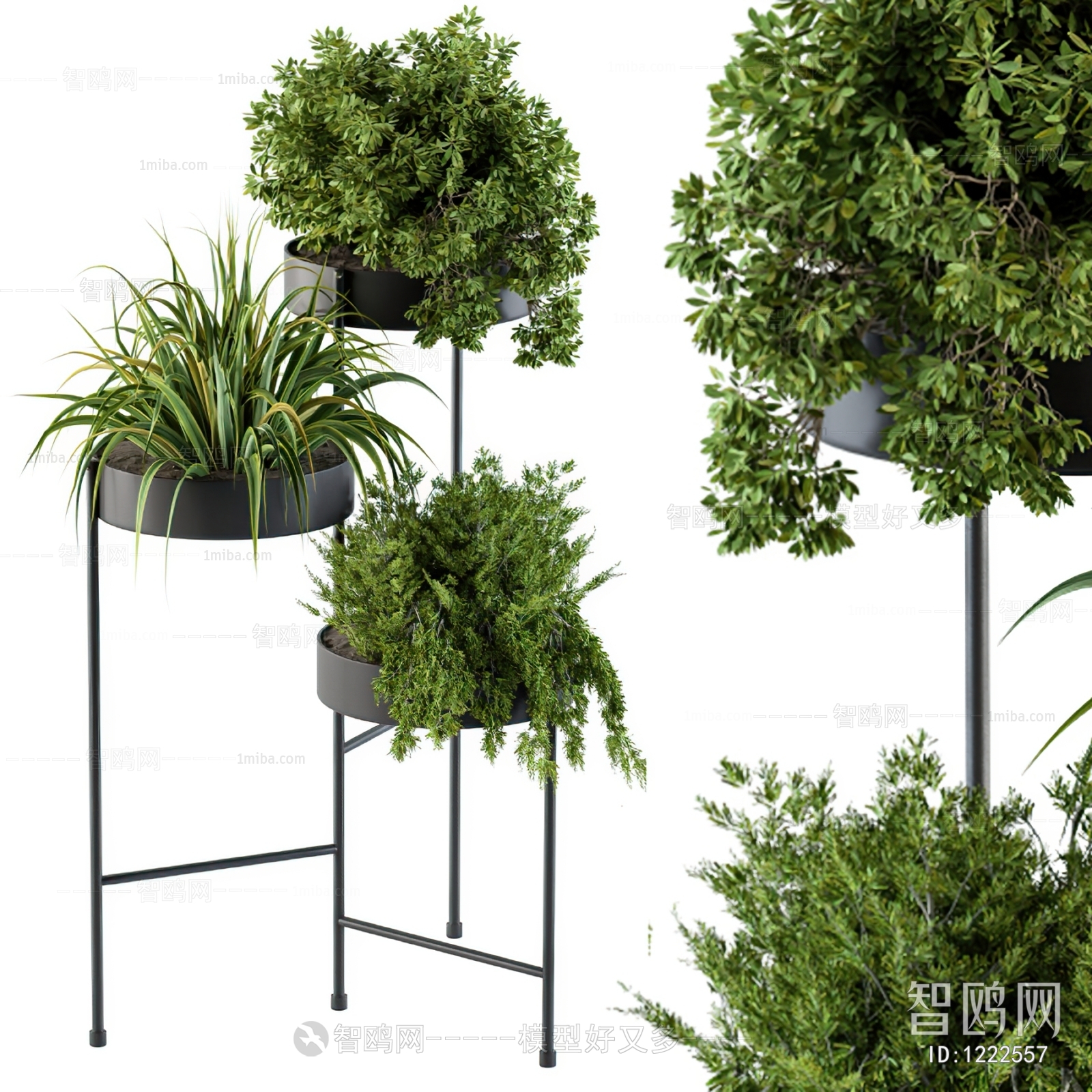 Modern Potted Green Plant