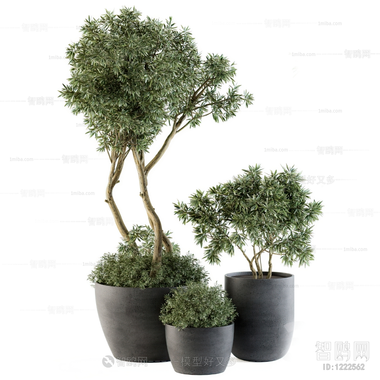 Modern Potted Green Plant