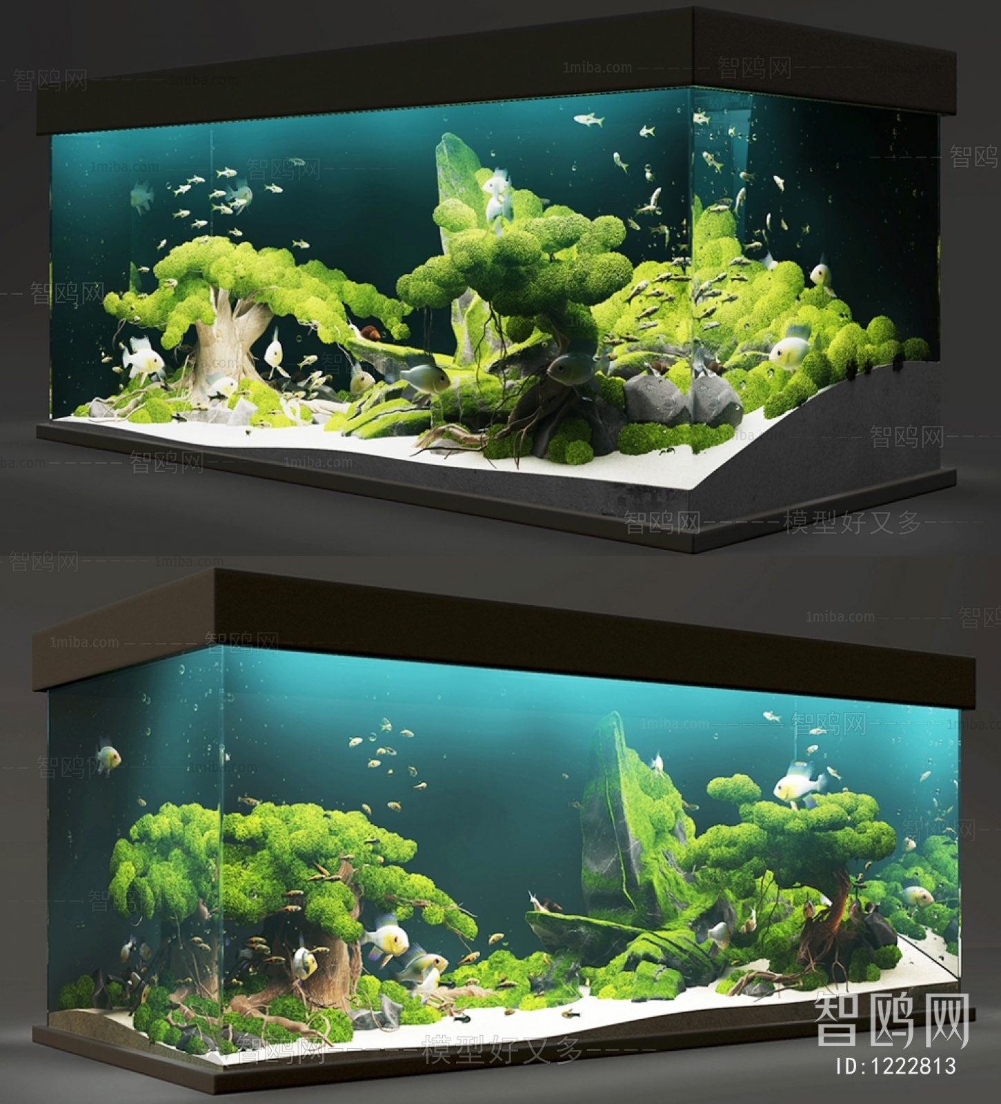 Modern Fish Tank