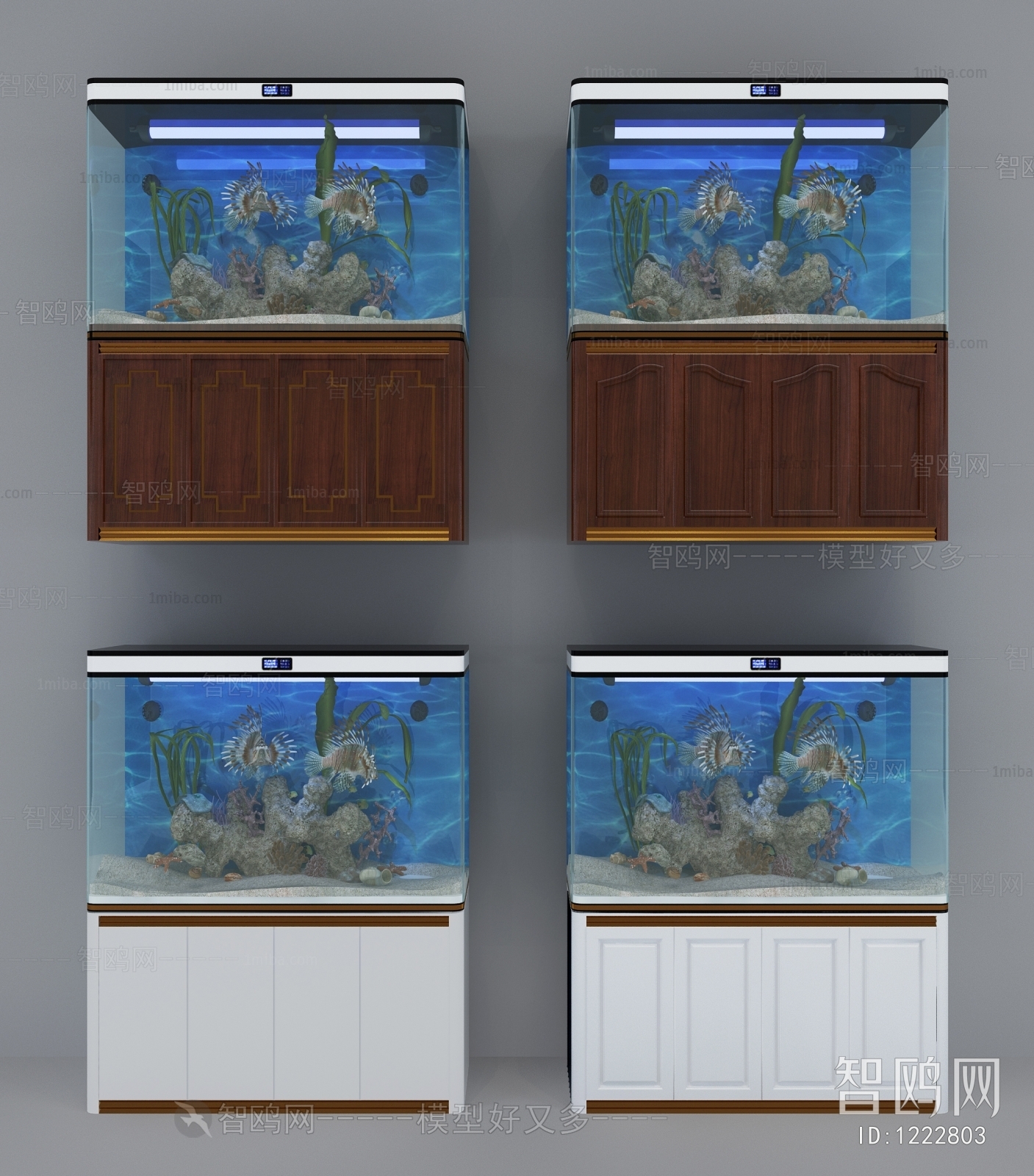 Modern Fish Tank