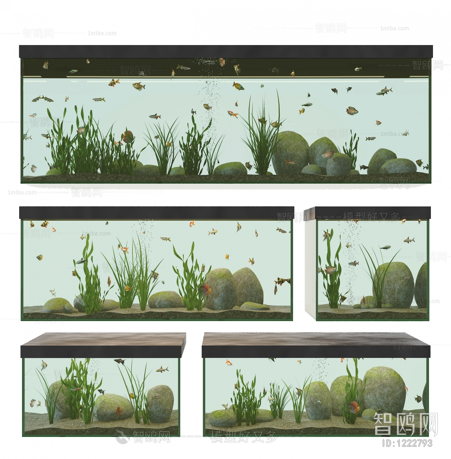 Modern Fish Tank