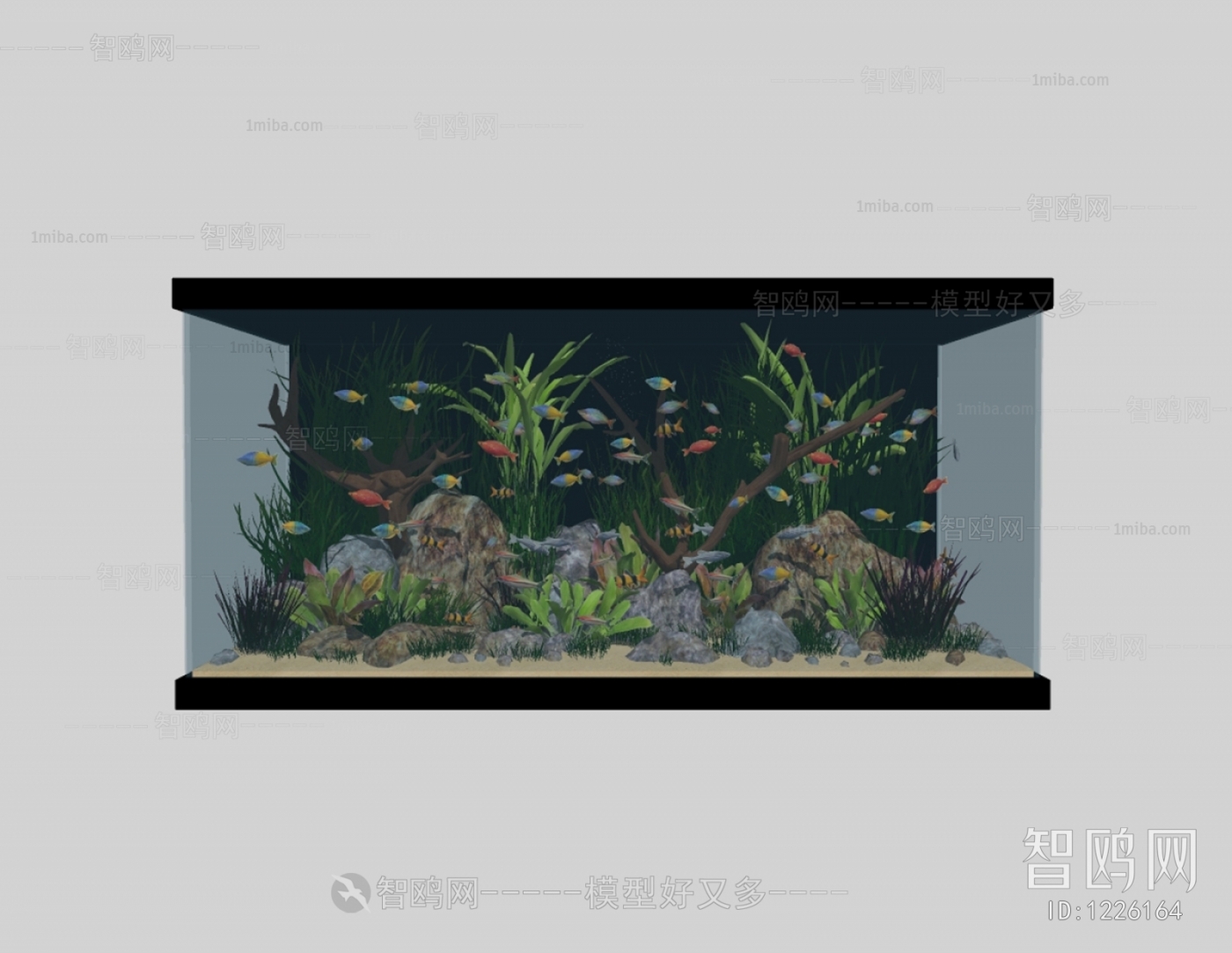 Modern Fish Tank