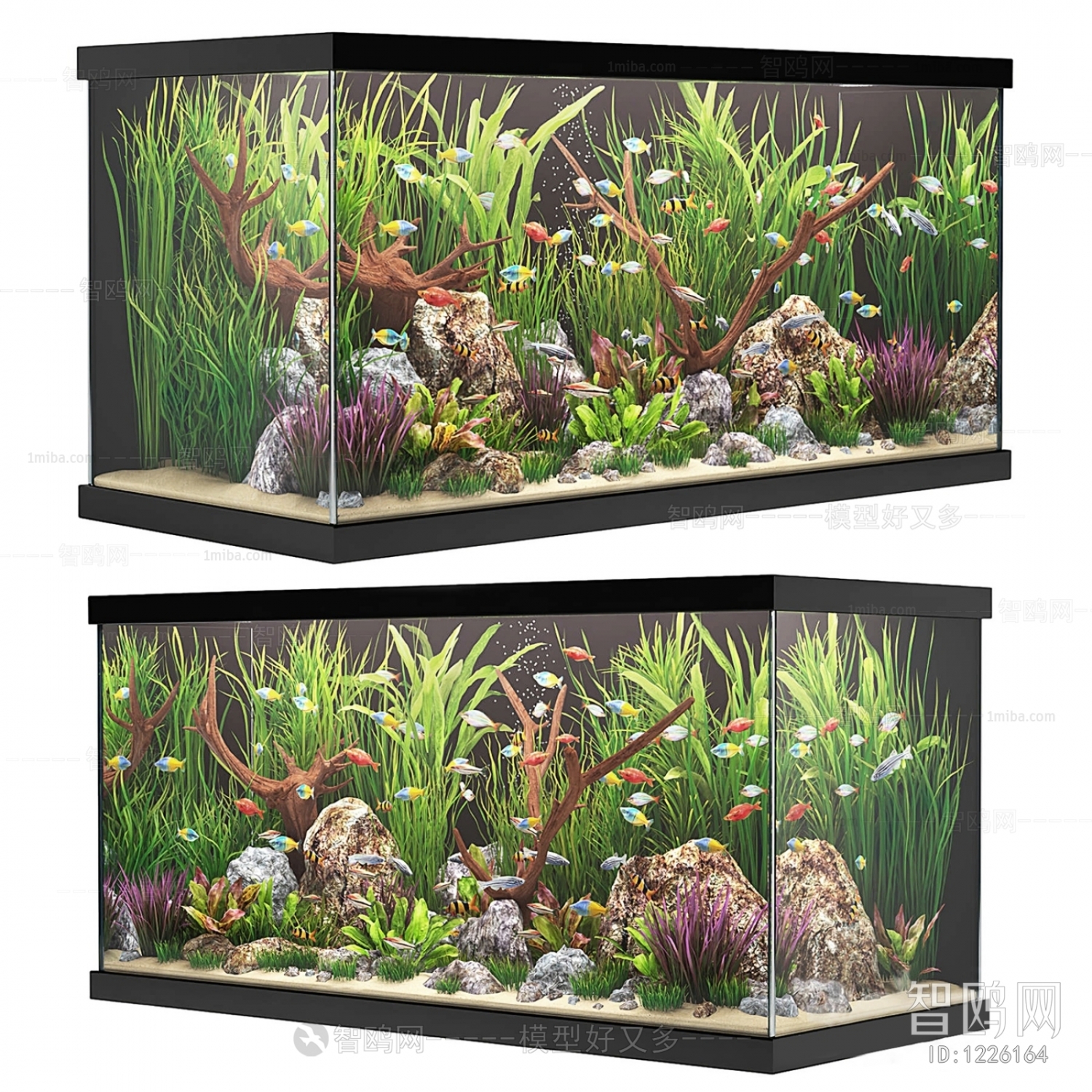 Modern Fish Tank