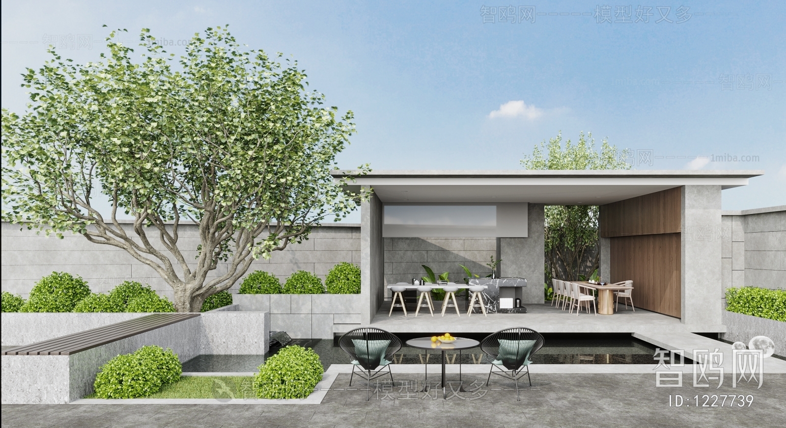 Modern Courtyard/landscape