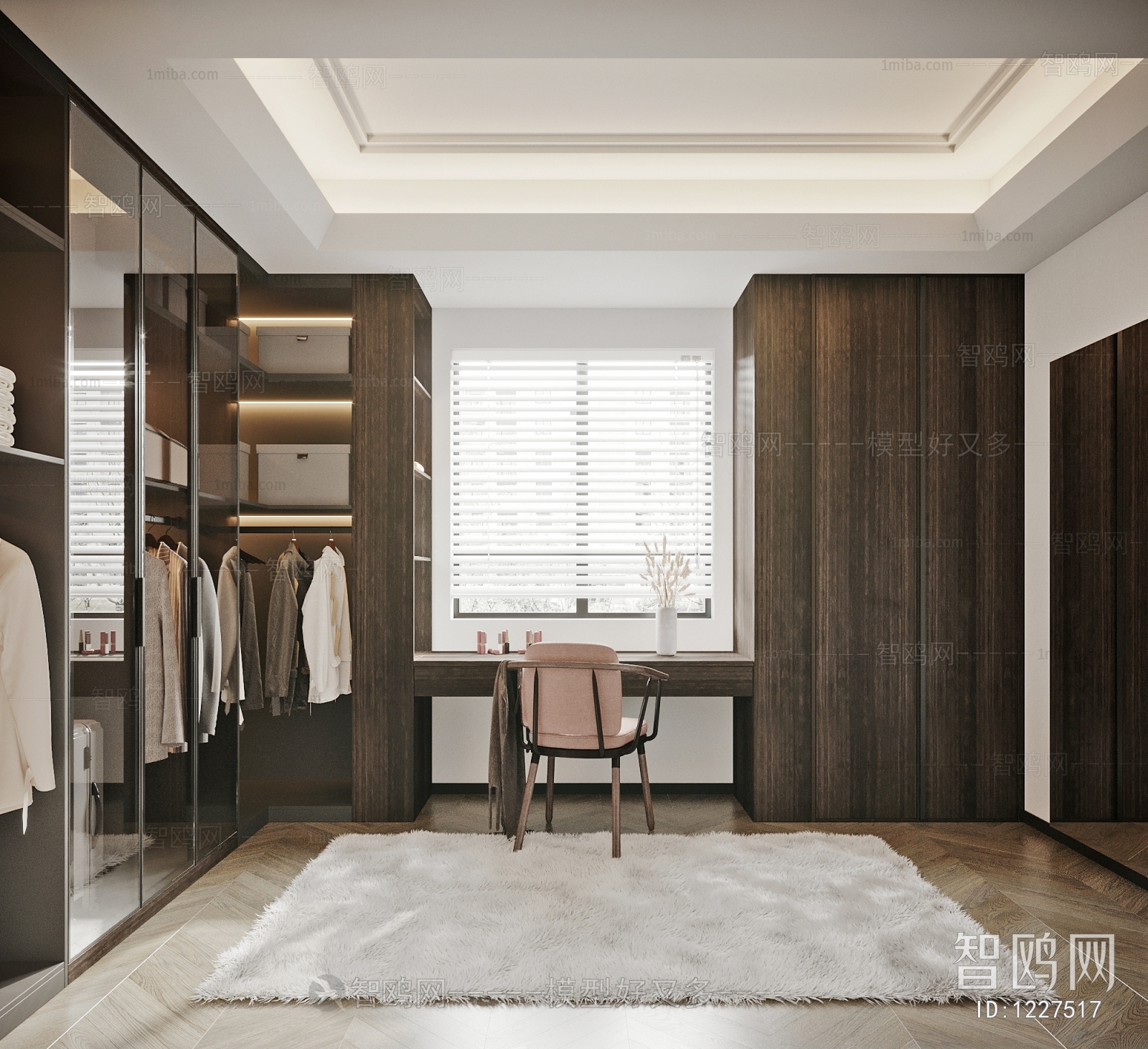 Modern Clothes Storage Area