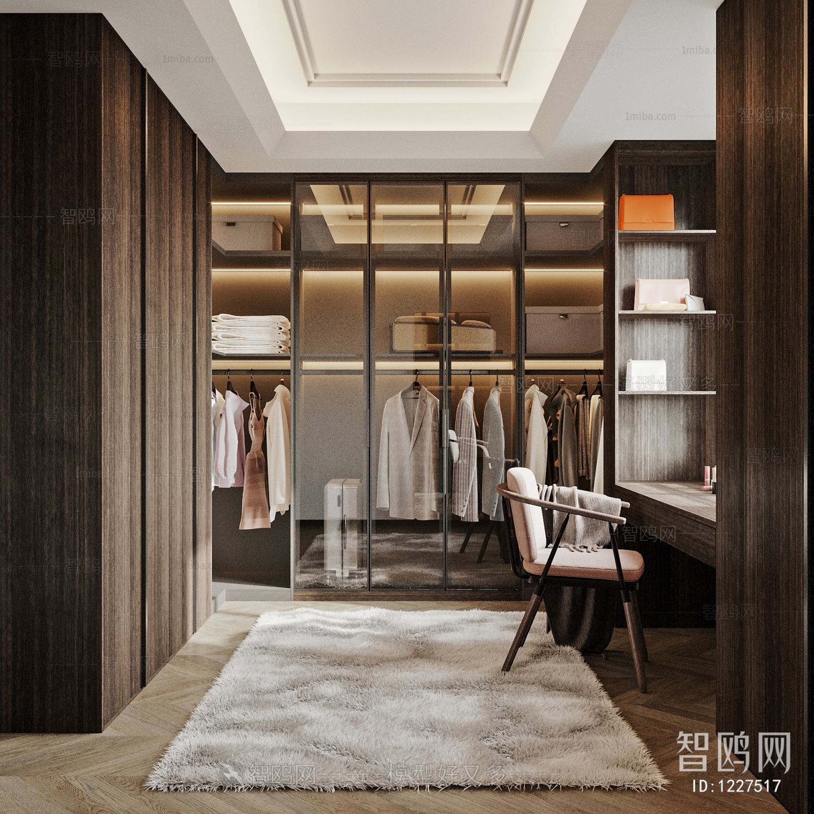 Modern Clothes Storage Area