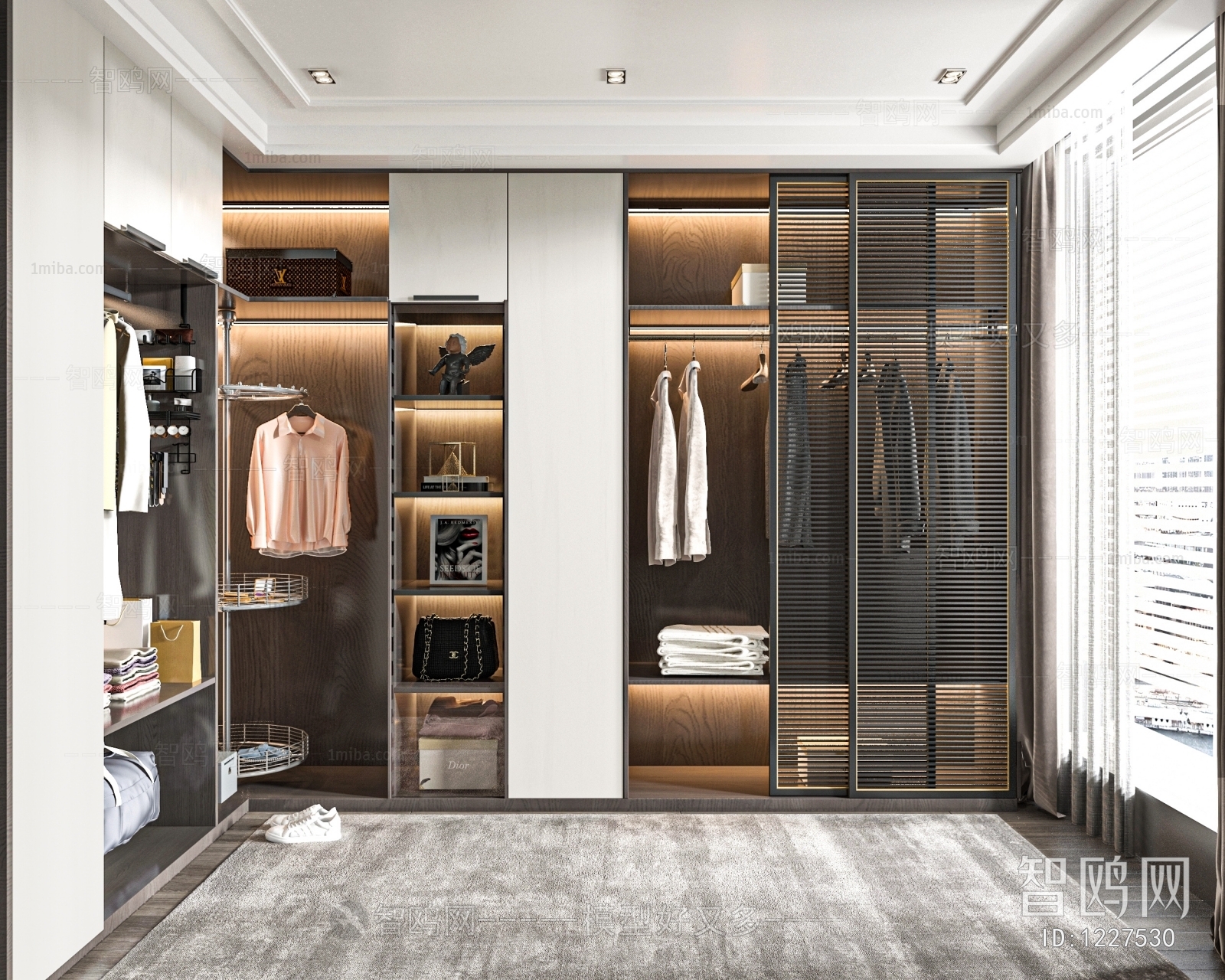 Modern Clothes Storage Area