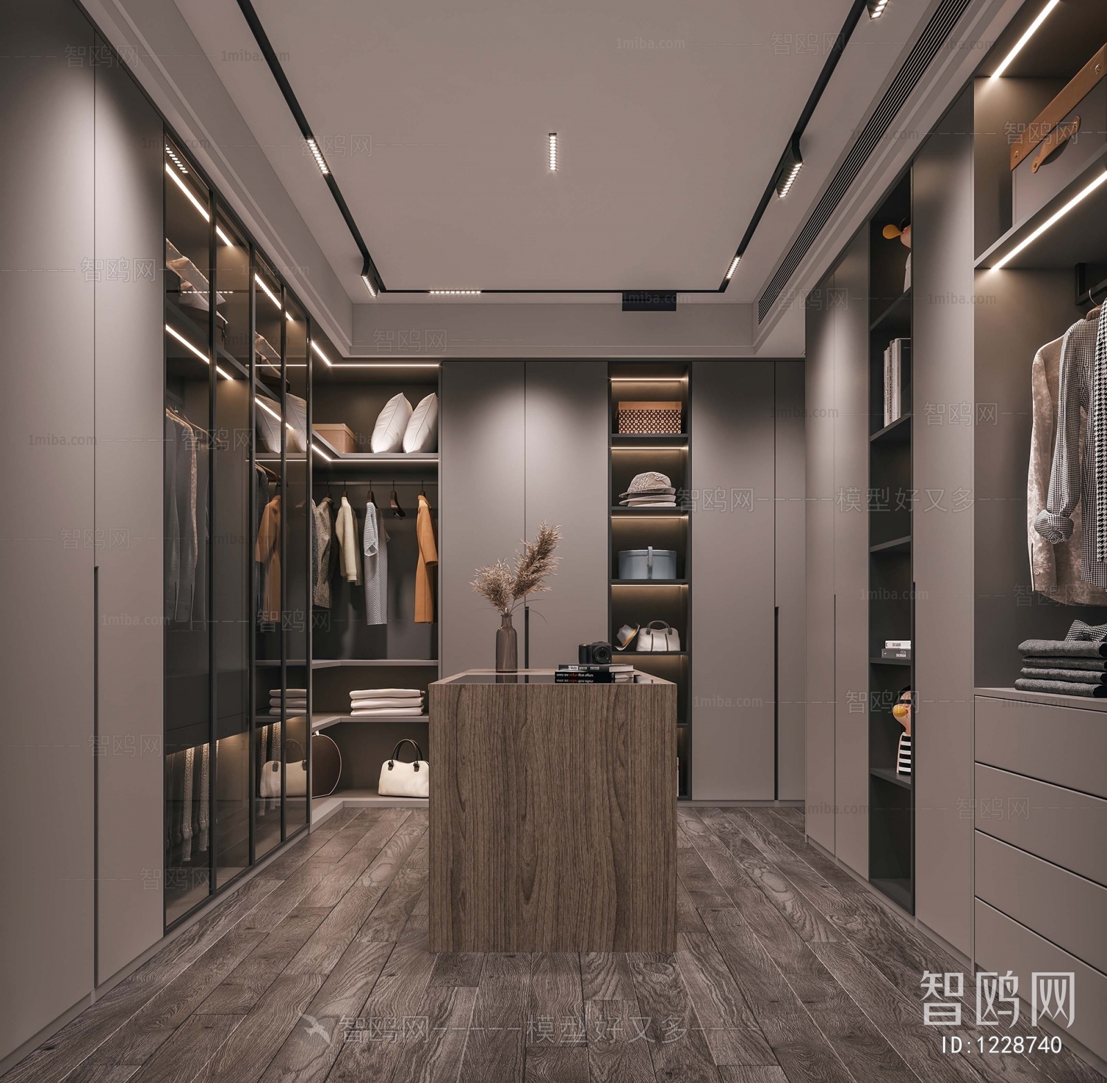 Modern Clothes Storage Area