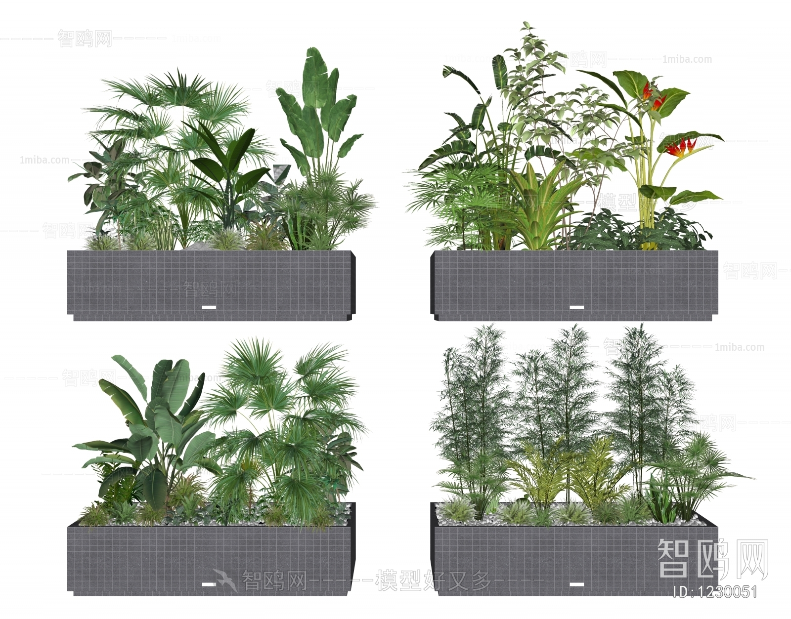 现代盆栽、植物竹子翠竹