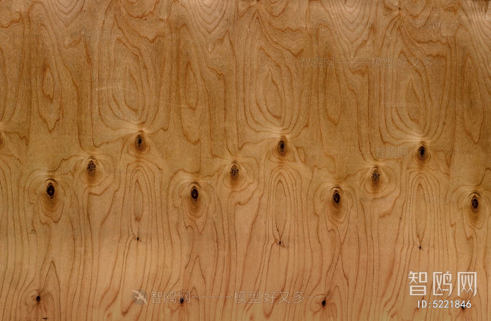 Wood Texture