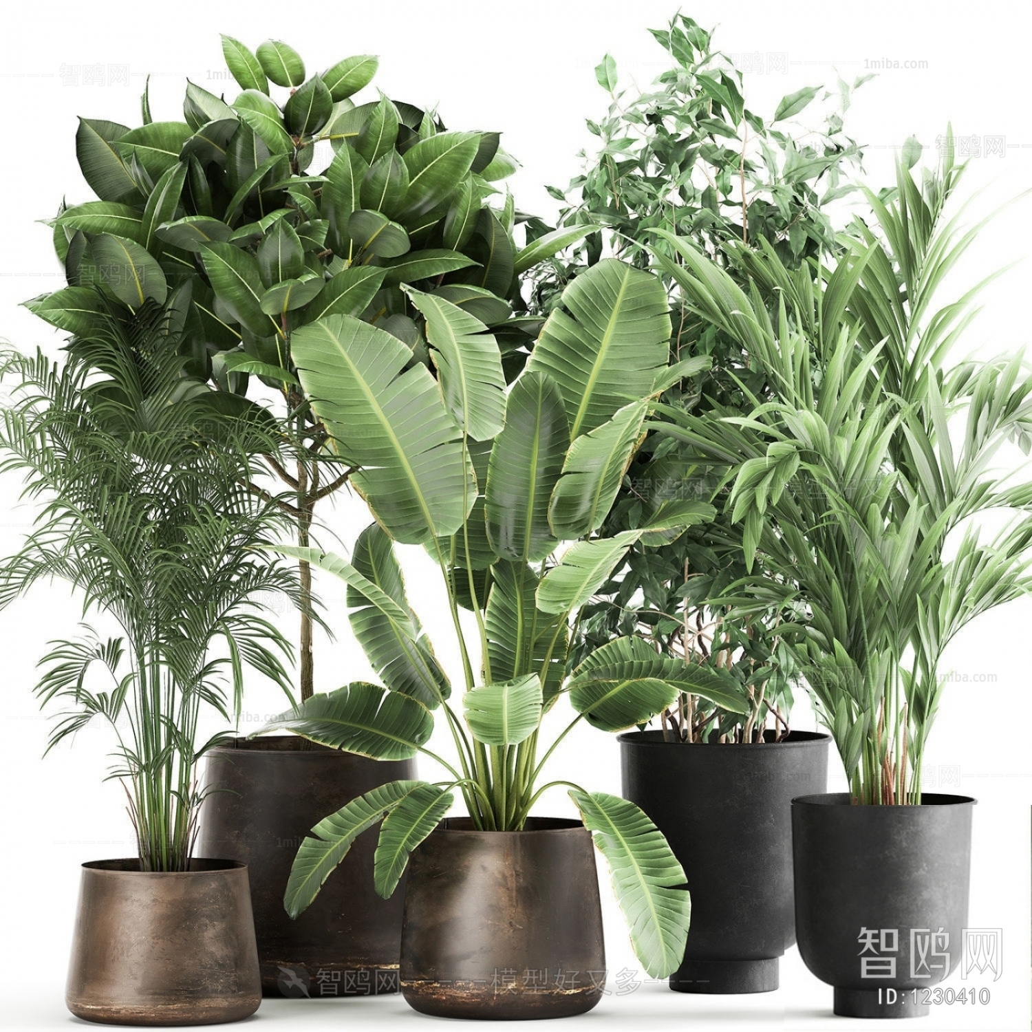 Modern Potted Green Plant