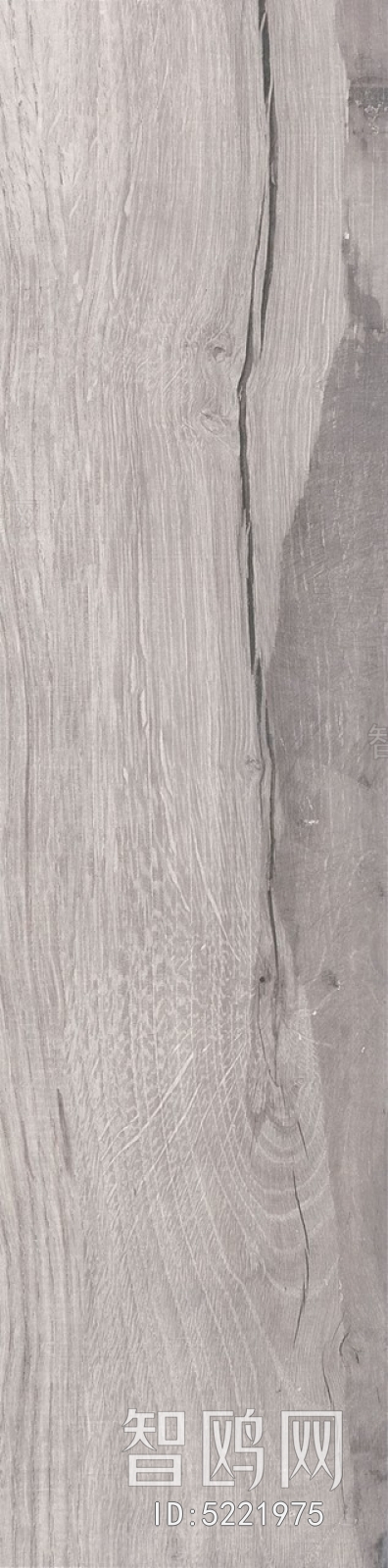 Wood Texture