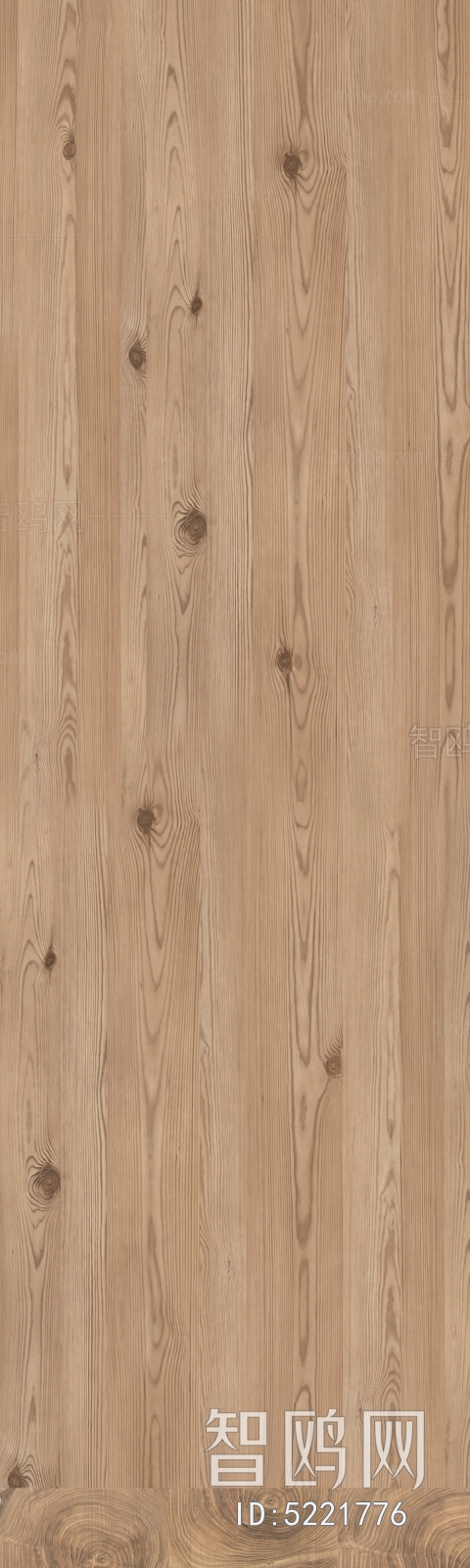 Wood Texture