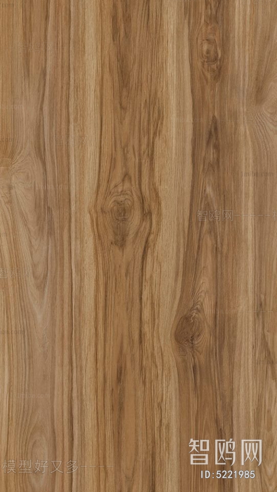 Wood Texture