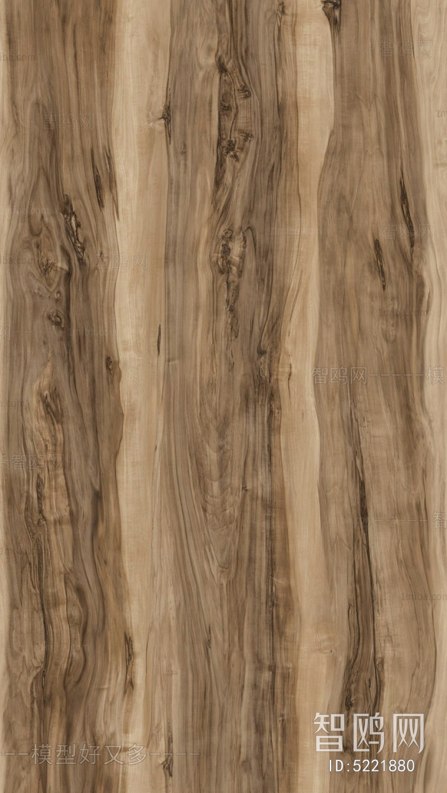 Wood Texture