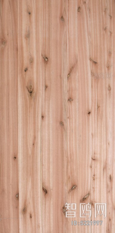 Wood Texture