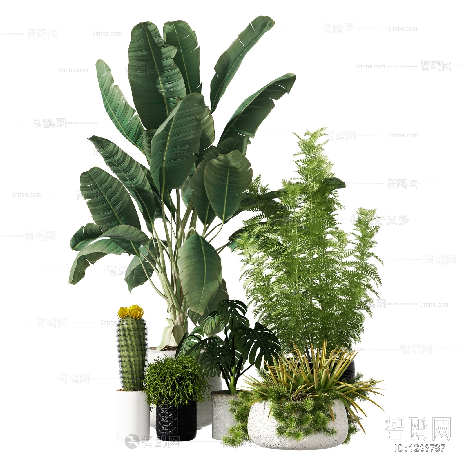 Modern Potted Green Plant