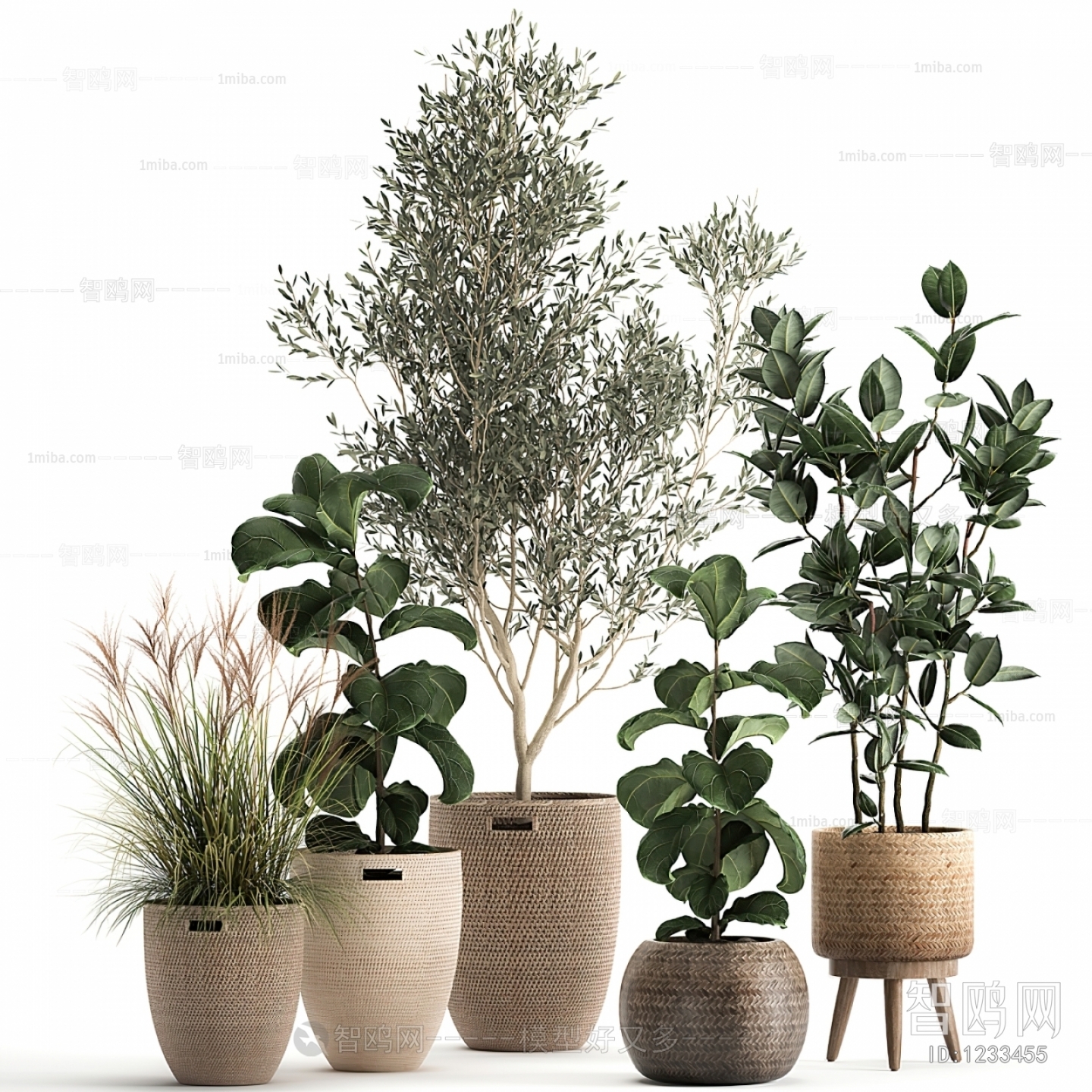 Modern Potted Green Plant
