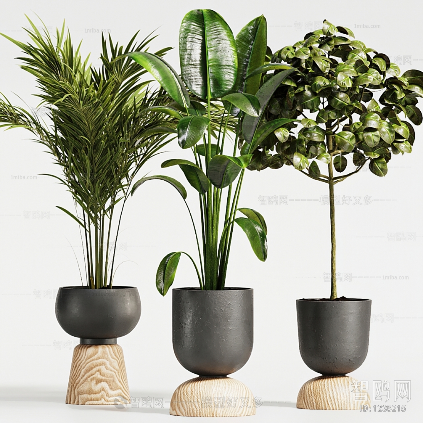 Modern Potted Green Plant