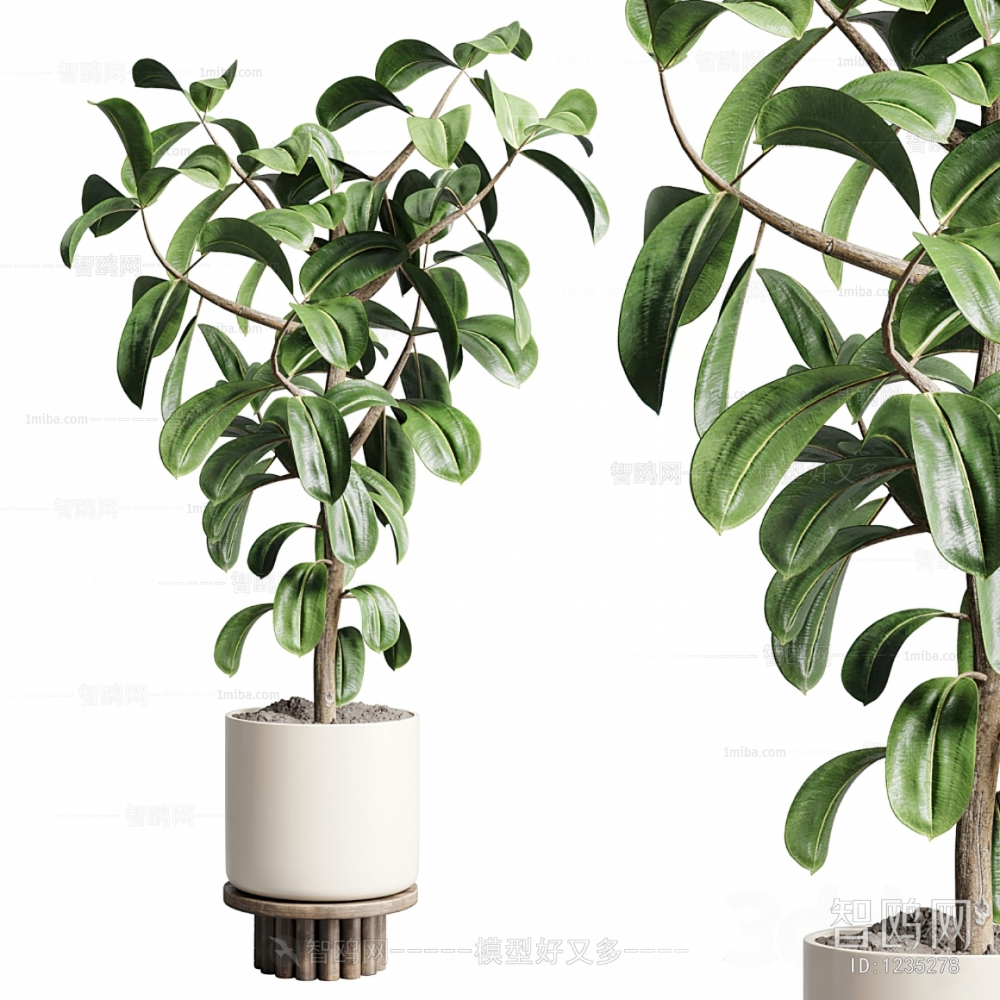 Modern Potted Green Plant