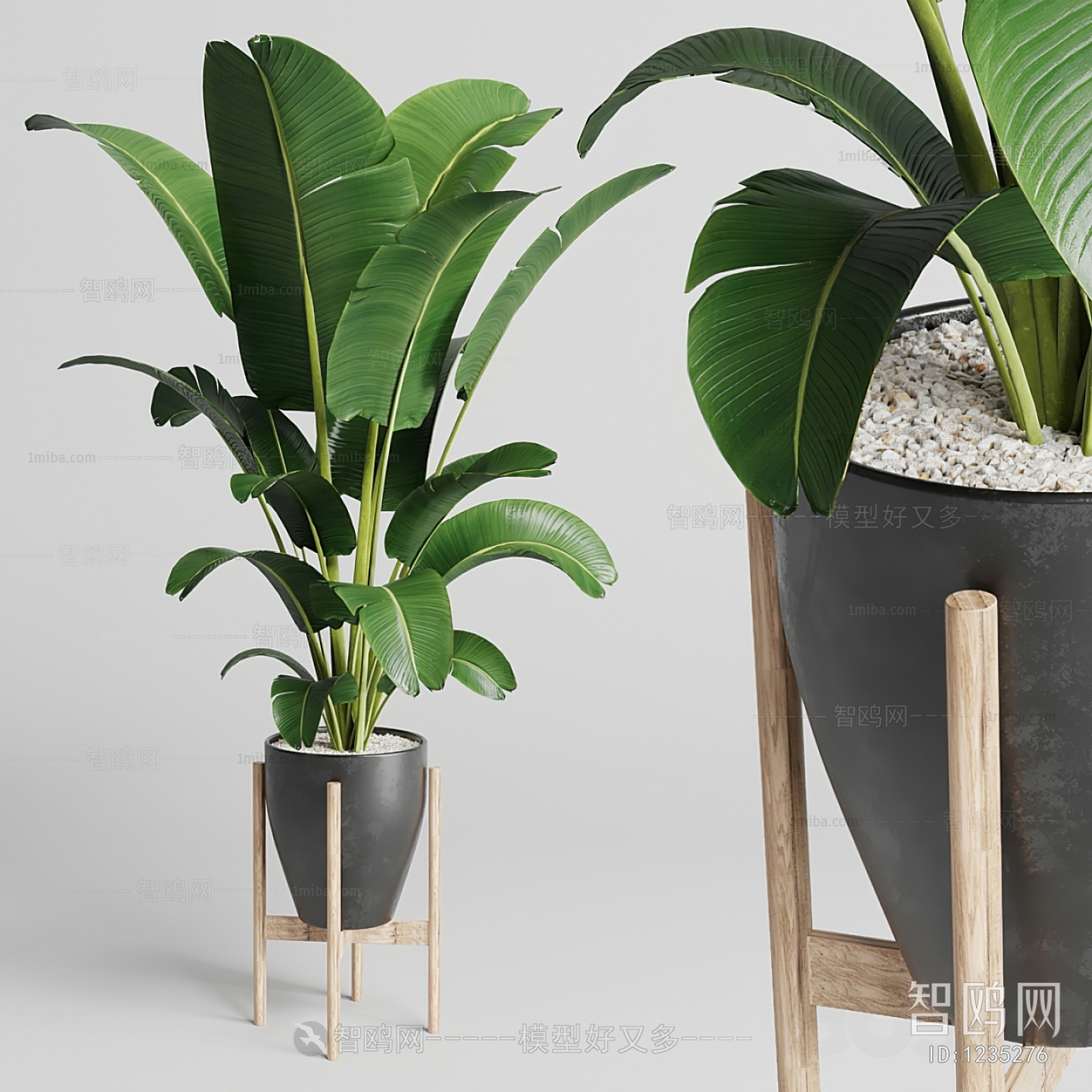 Modern Potted Green Plant