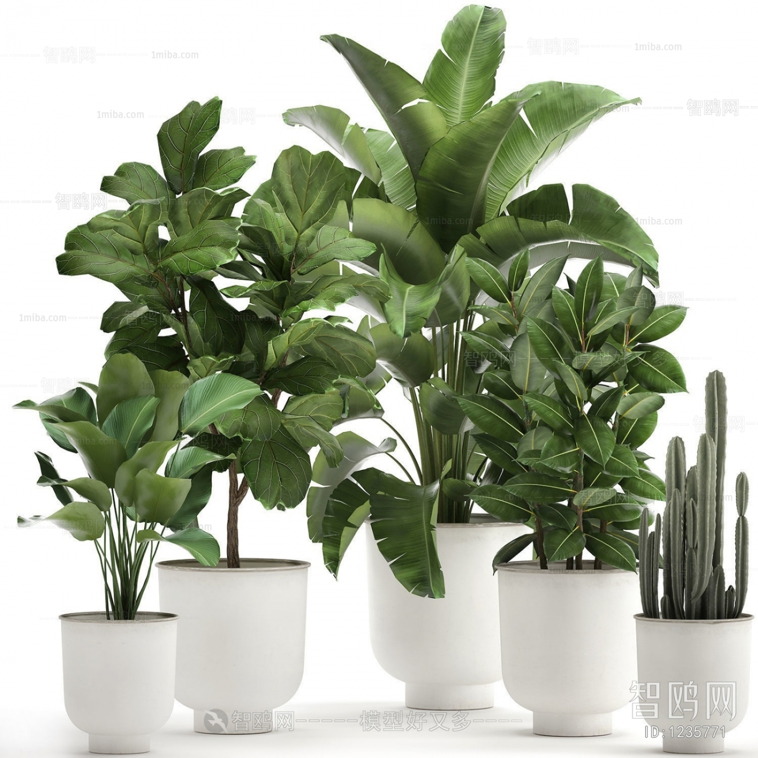 Modern Potted Green Plant