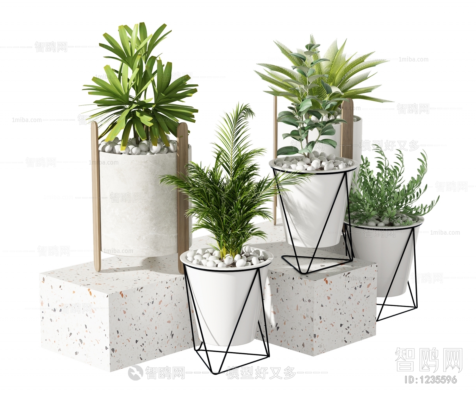 Modern Potted Green Plant