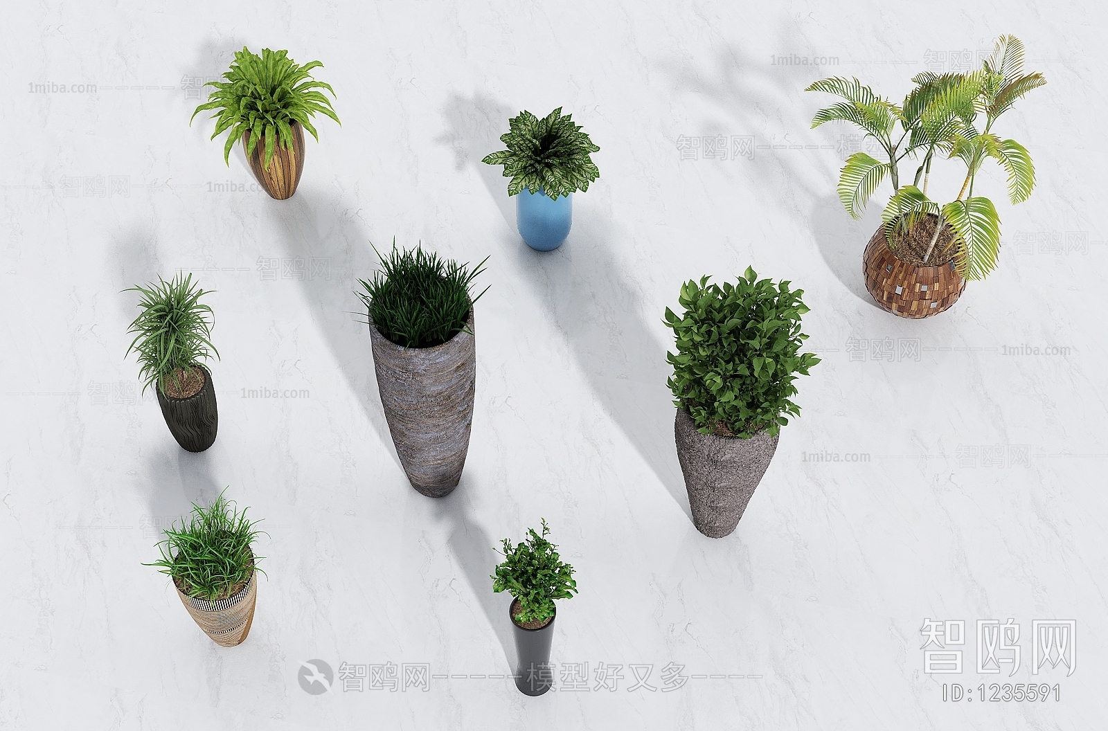 Modern Potted Green Plant