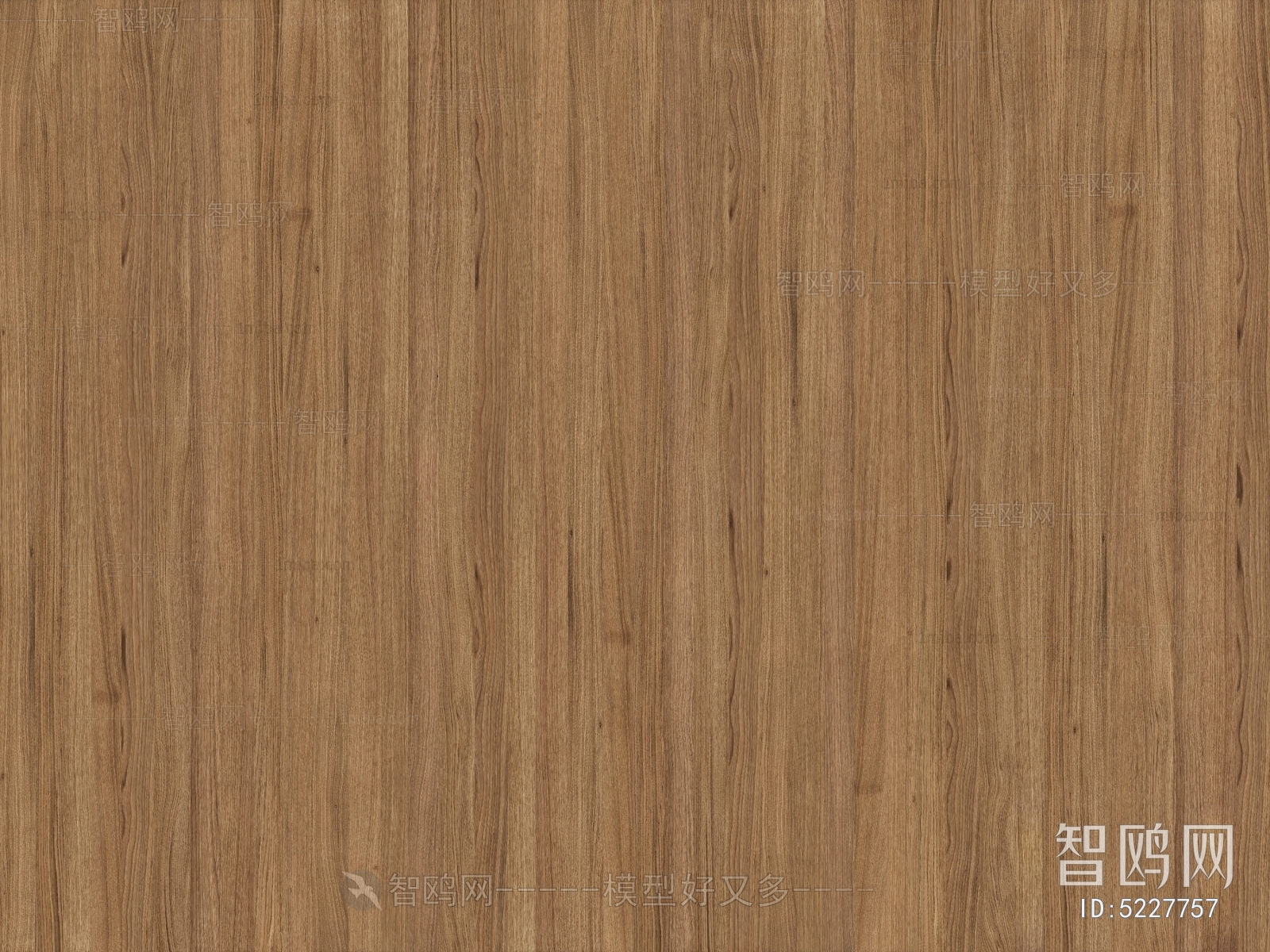 Wood Texture