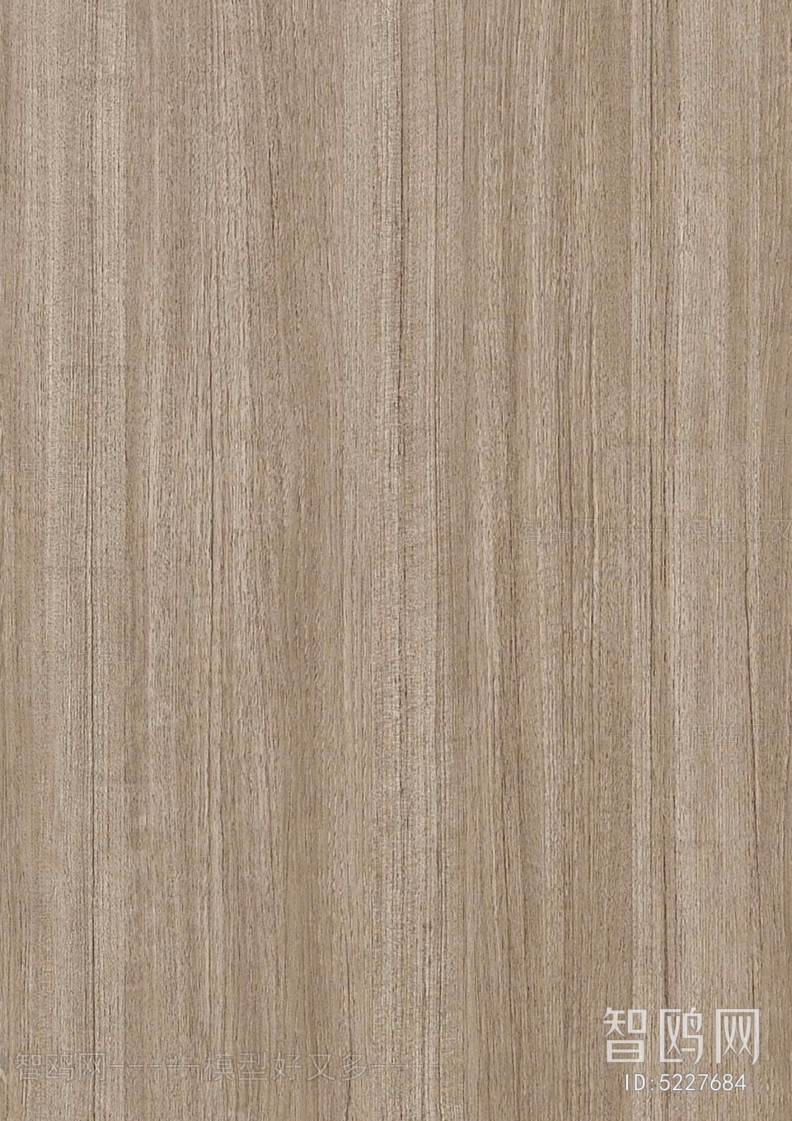 Wood Texture