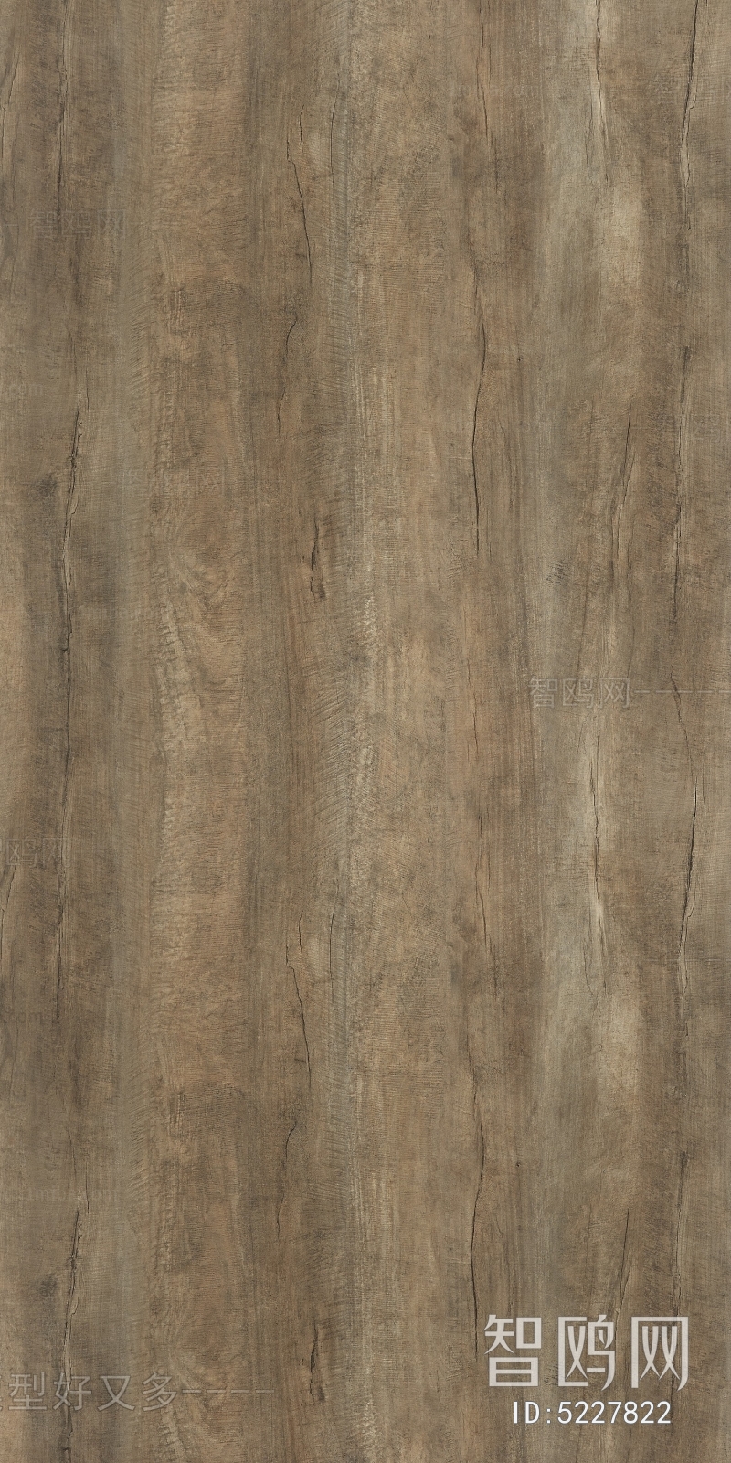 Wood Texture