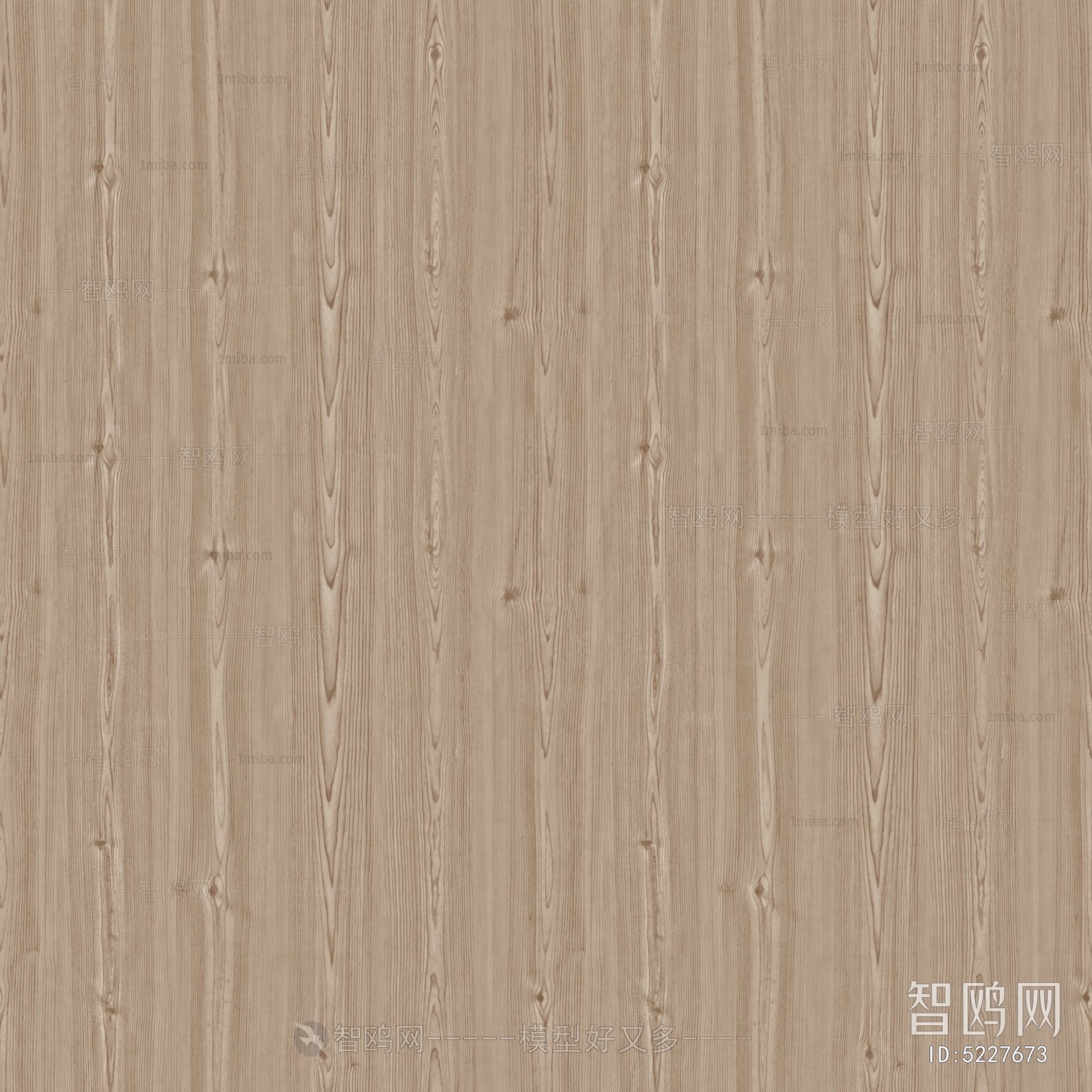 Wood Texture