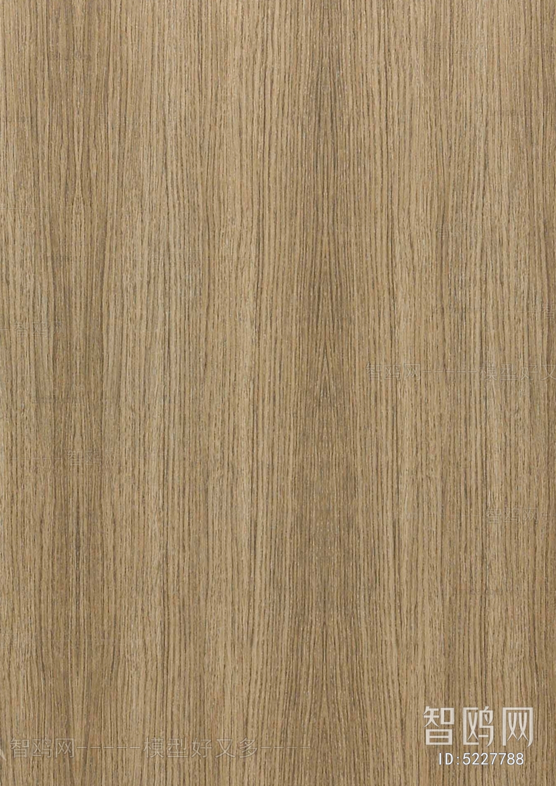 Wood Texture