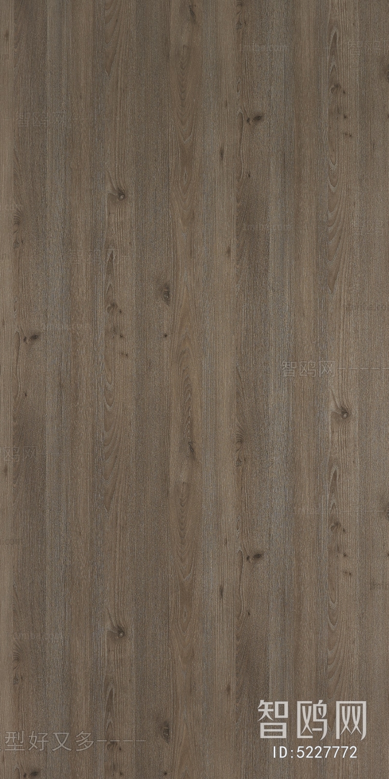 Wood Texture