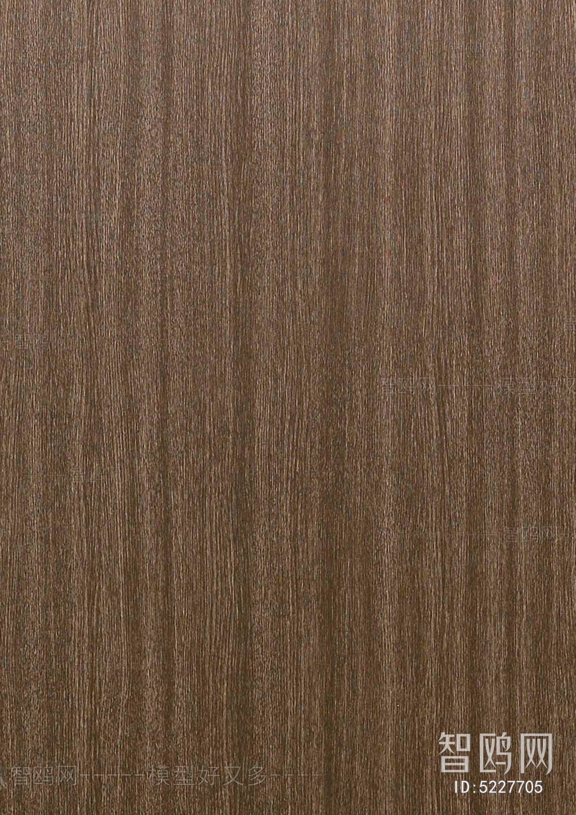 Wood Texture