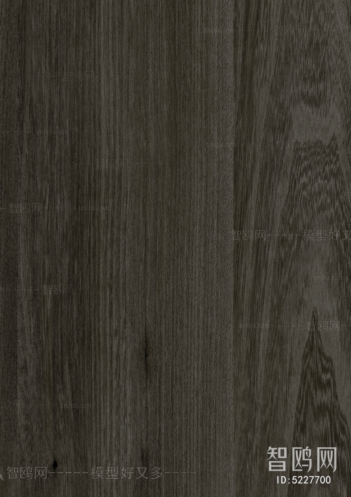 Wood Texture