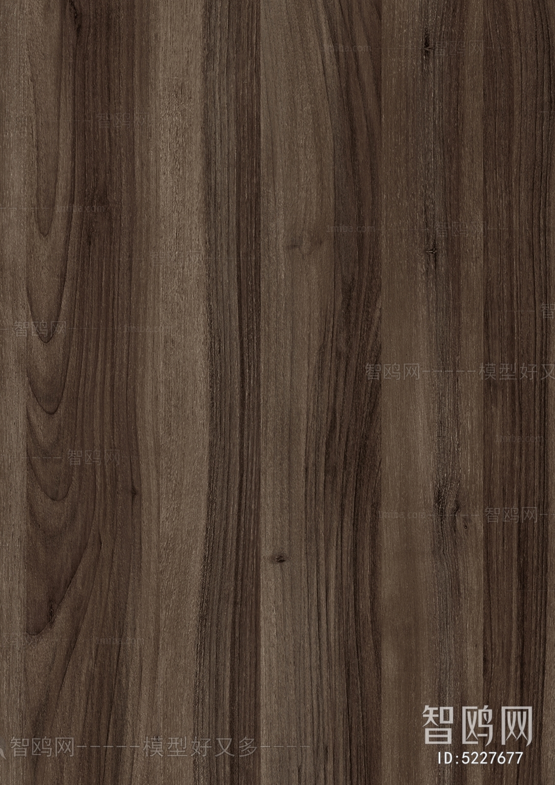 Wood Texture