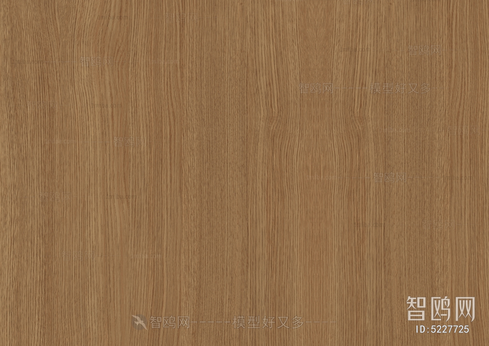 Wood Texture