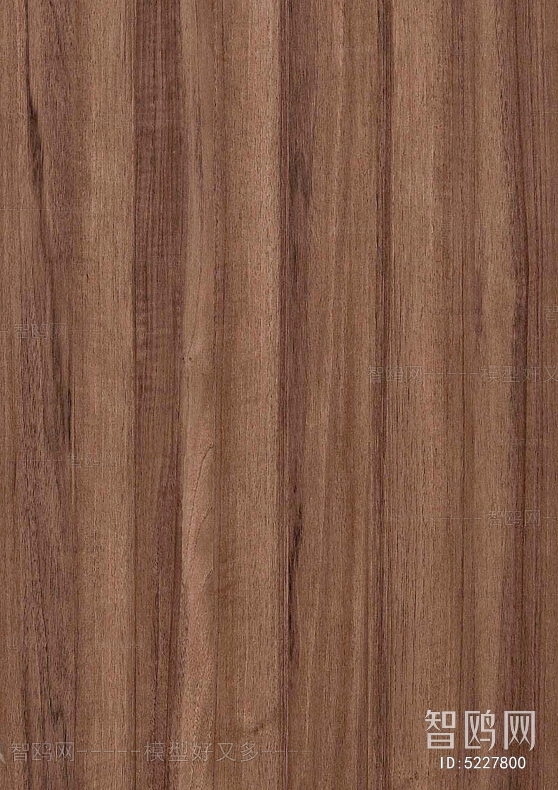 Wood Texture